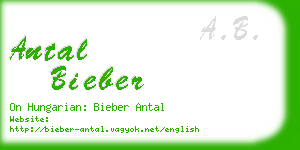 antal bieber business card